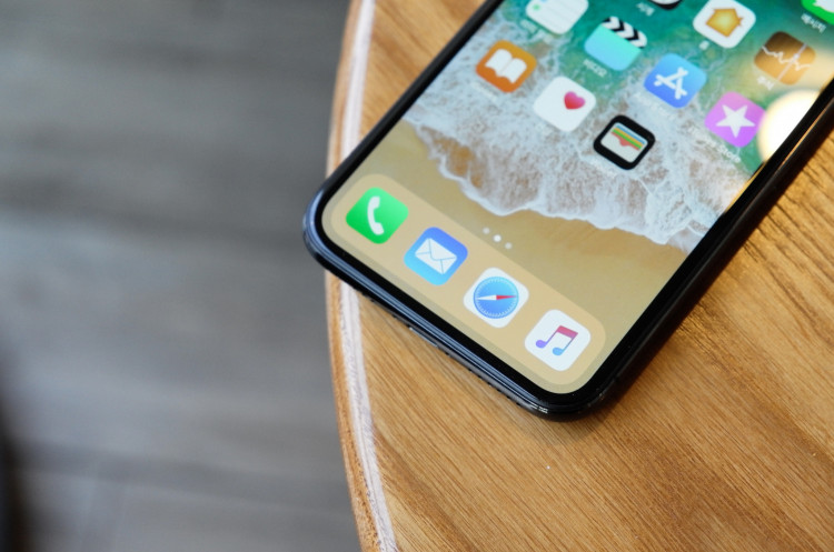 iPhone X