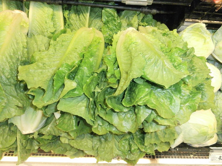 Romaine Lettuce