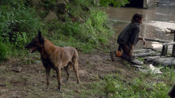 Daryl's Dog