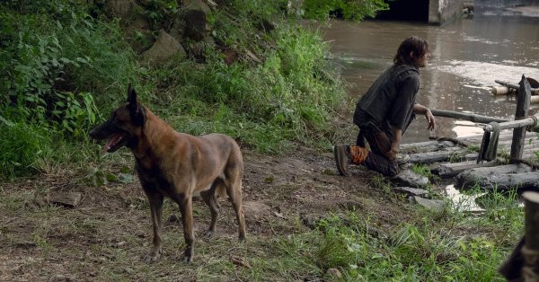 Daryl's Dog