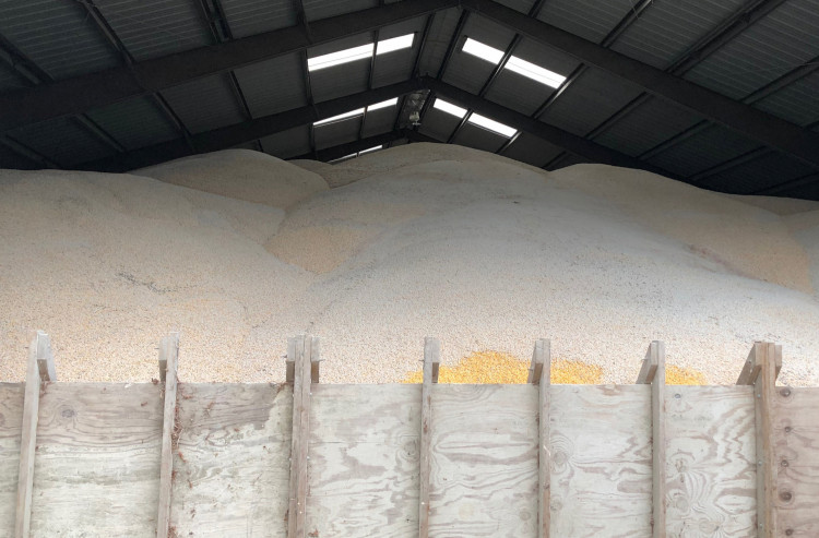 75,000 bushels of corn stocked at a family farm in Casey, Illinois