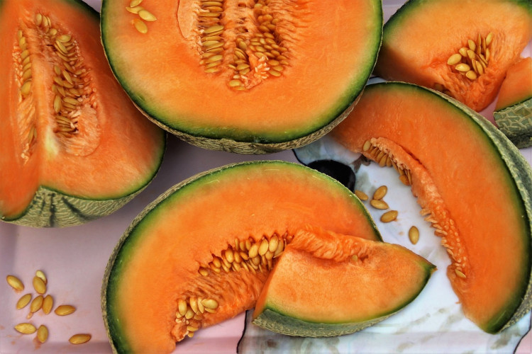 Rock Melon