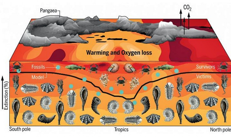 The Great Dying was caused by climate change