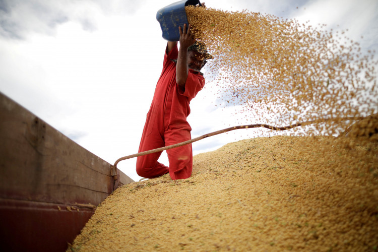 Soy harvest near the town of Campos Lindos, Brazil 