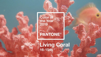 Living Coral
