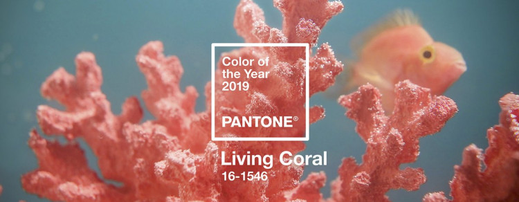 Living Coral