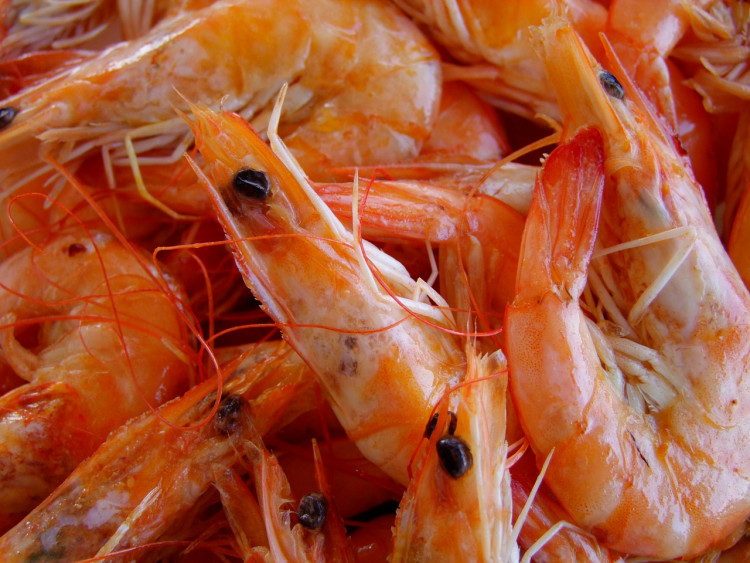 Shrimps