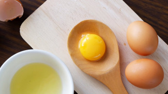 egg