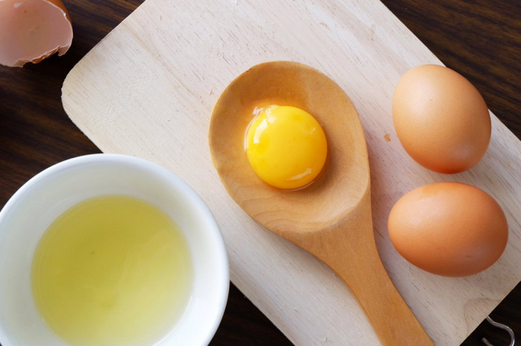 egg