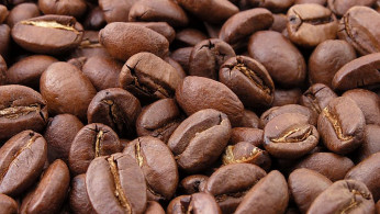 Roasted coffee beans