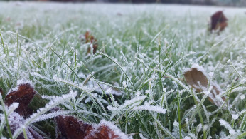 Cold Snap