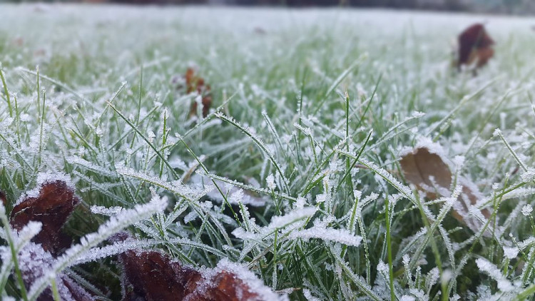 Cold Snap