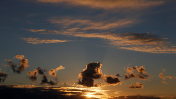 For the past 12 months, eco-warriors in Hong Kong have put much effort to save the animals and the environment in the country. 