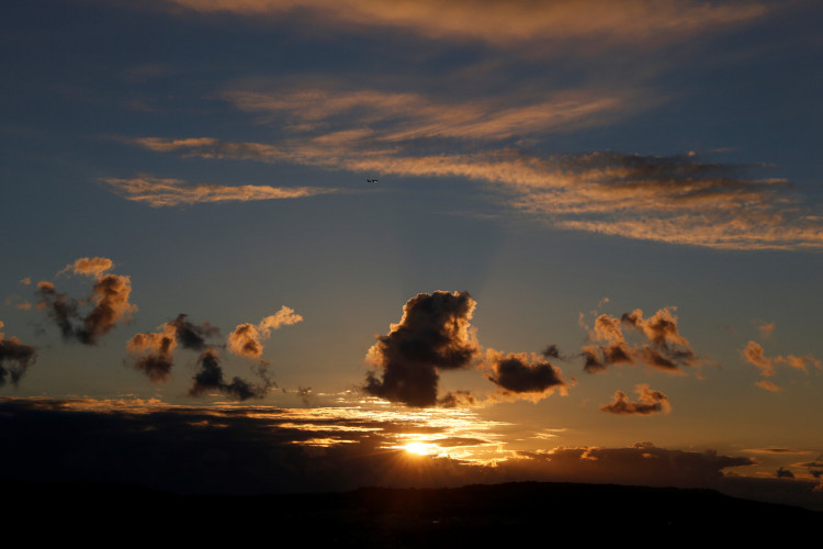 For the past 12 months, eco-warriors in Hong Kong have put much effort to save the animals and the environment in the country. 