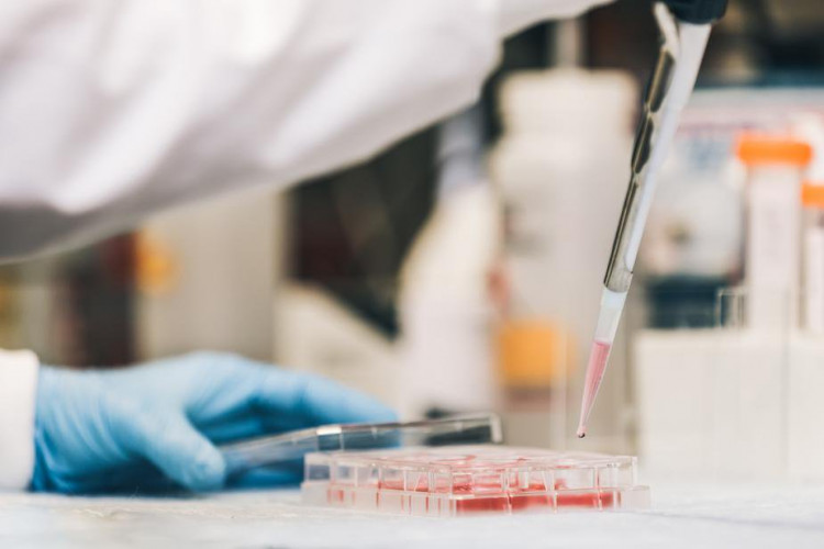 laboratory