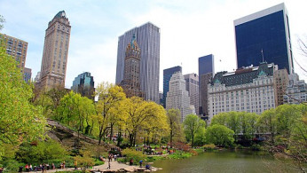 3037-Central Park-The Pond