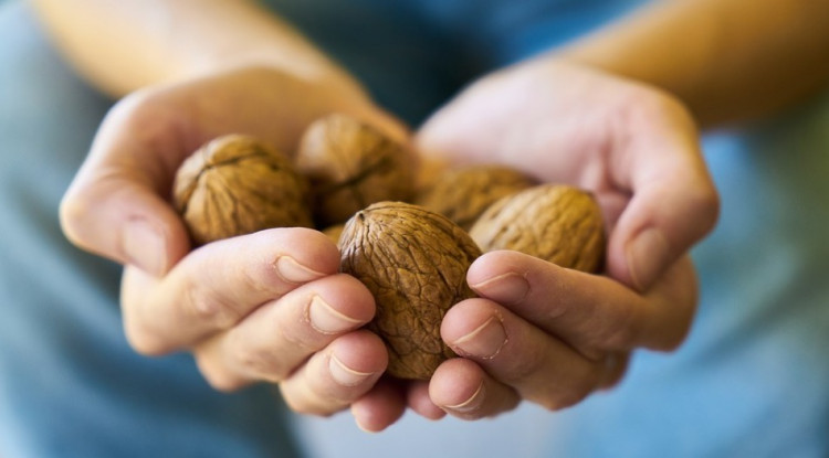 Snacking Helps You Fall Asleep Faster