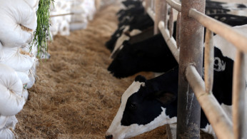 'The evidence is clear, our food system needs to be transformed for the sake of our planet and the future of humankind,' WEF said.