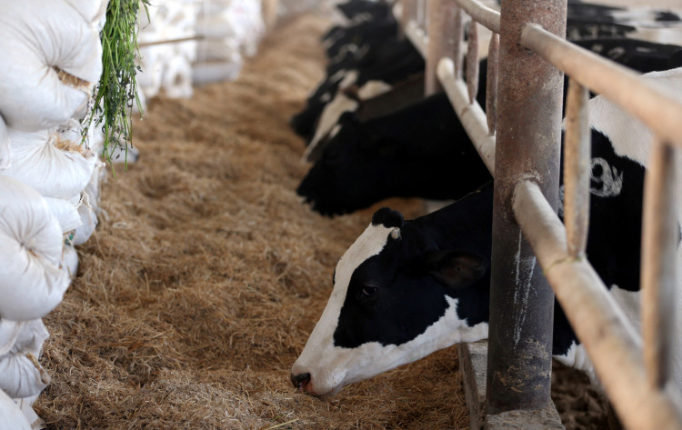 'The evidence is clear, our food system needs to be transformed for the sake of our planet and the future of humankind,' WEF said.