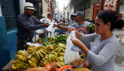 Fruit Stand