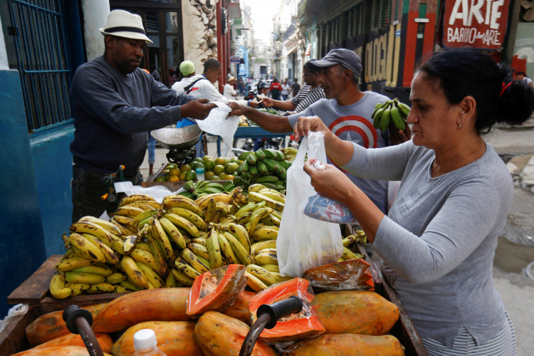 Fruit Stand