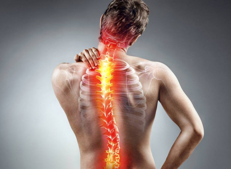 There are different back and spine conditions, but here are the three common problems. 