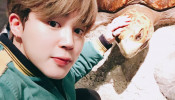 BTS Jimin