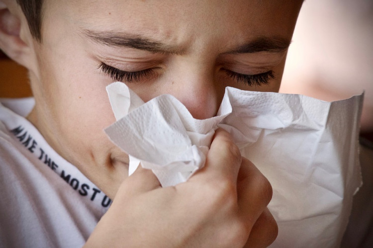 Cold Prevention: What’s Good And What’s Not?