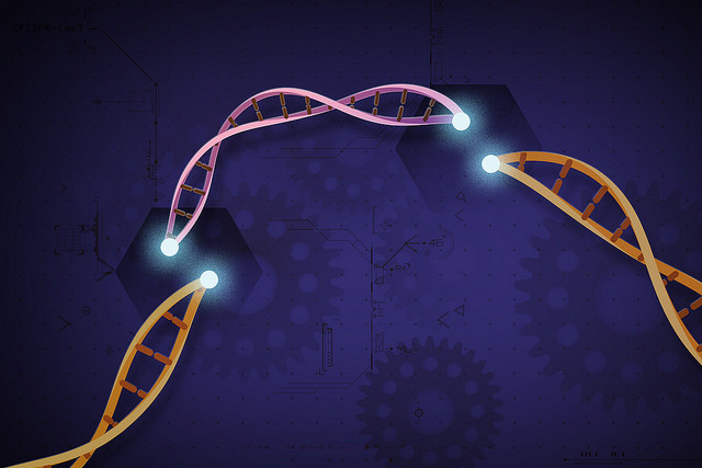 CRISPR/Cas 9