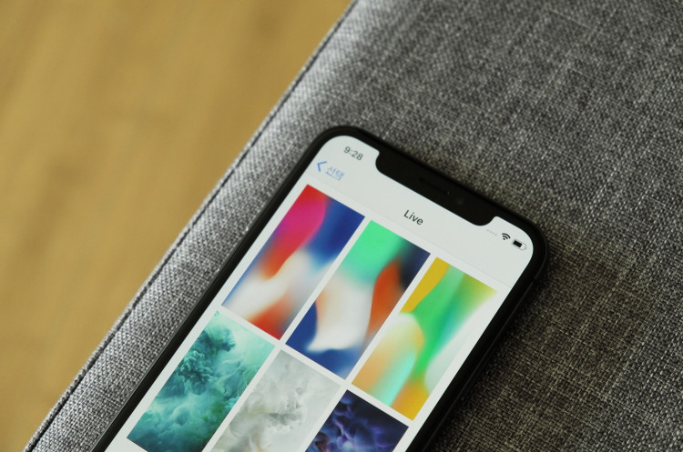 iPhone X
