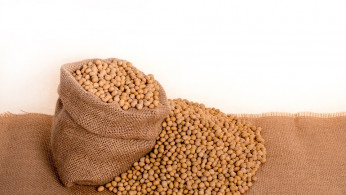 China Soy Import