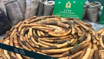 Illegal Wildlife Trade