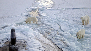 North Pole