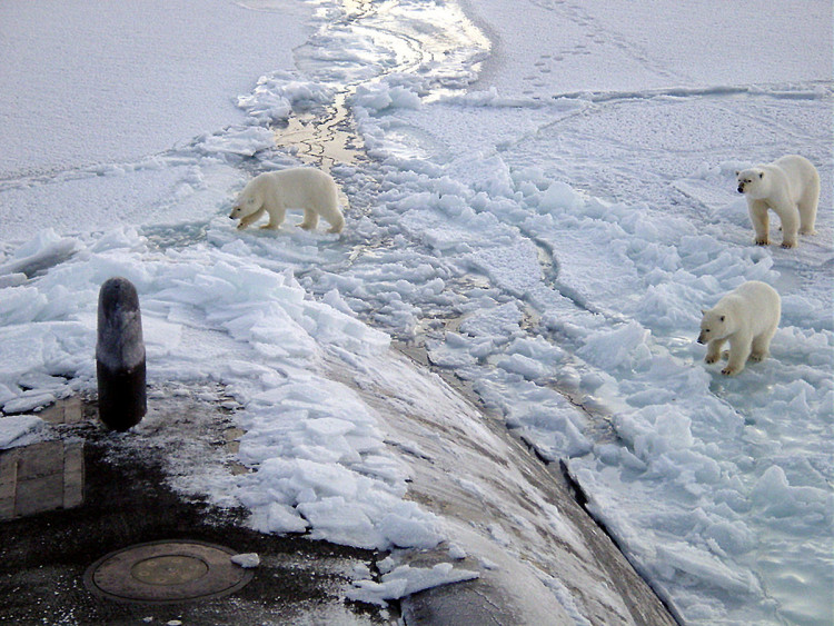 North Pole