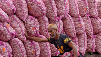 Garlic worker