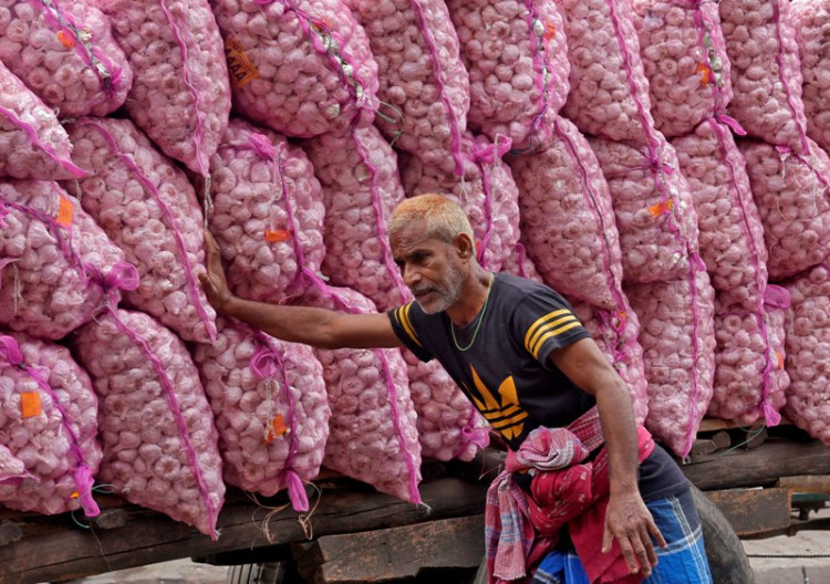 Garlic worker
