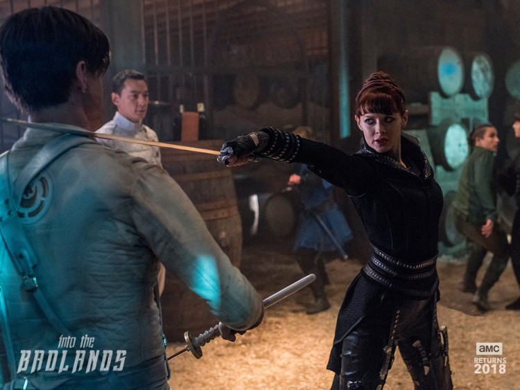 Into The Badlands