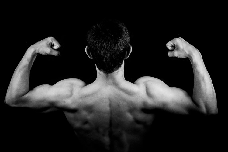 Gym Workout: What Are The Effective Machines For Total-Body Training?