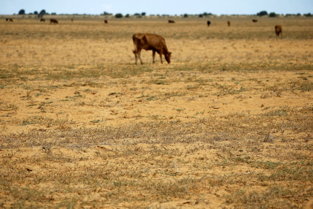 El Nino