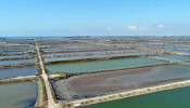 Floating solar