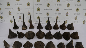 Illegal Wildlife Trade