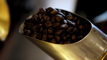 Coffee beans