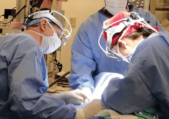 Surgeons
