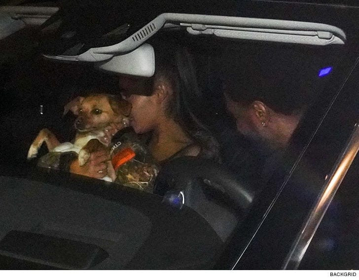 Ariana Grande and Big Sean Reunite in L.A 