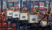 International trade