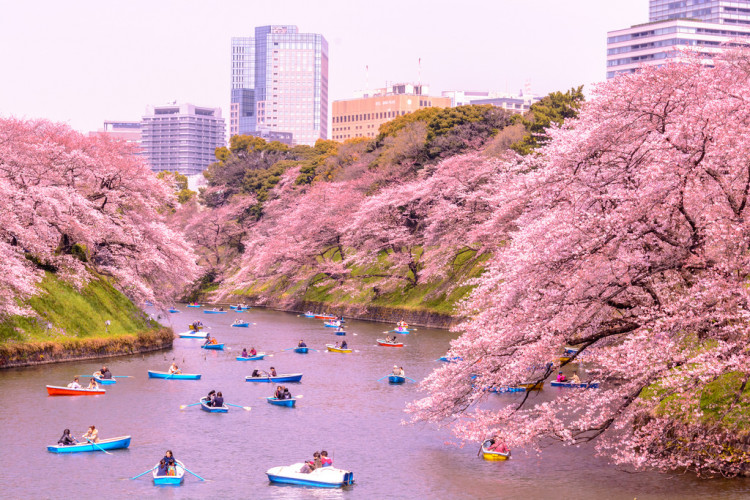 Hongkongers may not always have the leisure time to travel, but when they do, they make sure it is in Japan. 