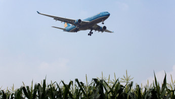 Vietnam crops