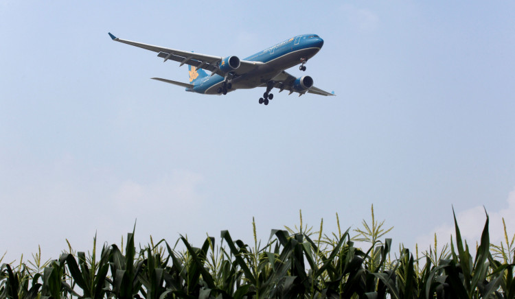 Vietnam crops