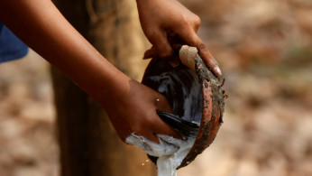 Rubber sap