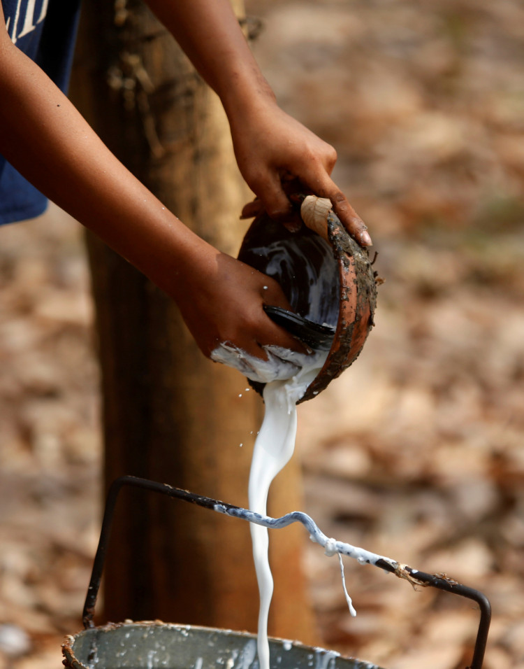 Rubber sap